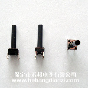 �ᴥ����6*6*19mm