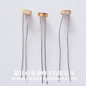 ��������5549