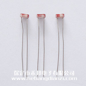 ��������5528