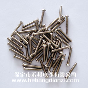 Բͷ�ݶ�M2.5*16mm