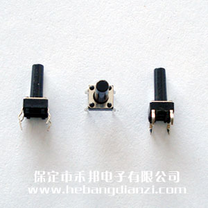 �ᴥ����6*6*13.5mm