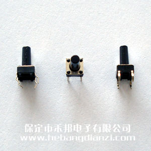 �ᴥ����6*6*12mm