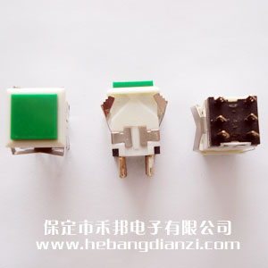 ���ο���WPT-24 ��