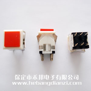 ���ο���WPT-24 ��