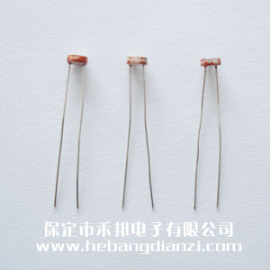 ��������5539