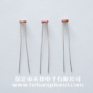 ��������5537