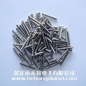 Բͷ�ݶ�M2.5*20mm