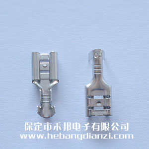 6.3���(��������)