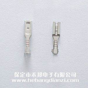 2.8���(��������)