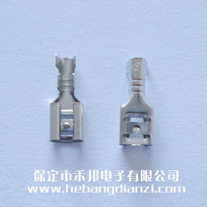 4.8���(��������)