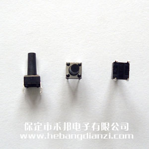 �ᴥ����6*6*13mm