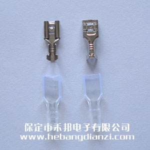 ̨�� 6.3���(������)