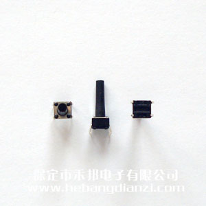 �ᴥ����6*6*17mm