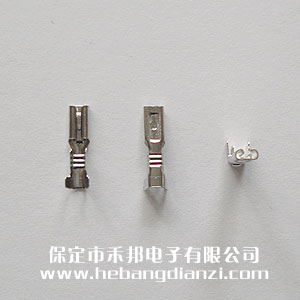 ����2.8���(��������)