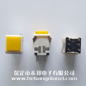 ���ο���WPT-24 ��