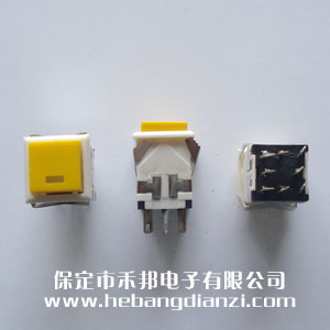 ���ο���WPT-22 ��