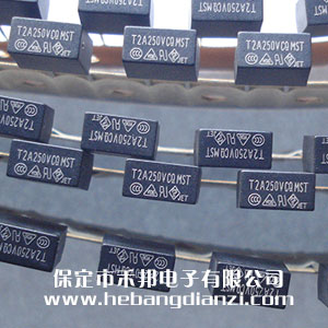 ���ͱ���˿T2A 250V ����