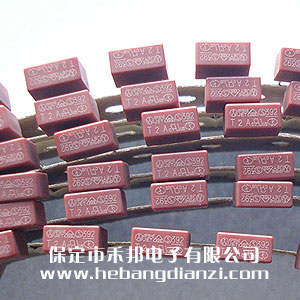 ���ͱ���˿T2A 250V ��ͨ